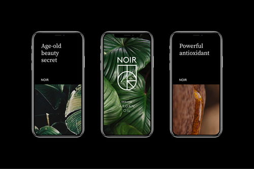 深度解讀 Noir摩洛哥堅(jiān)果油品牌形象設(shè)計(jì)——融合神秘與奢華的平面設(shè)計(jì)藝術(shù)